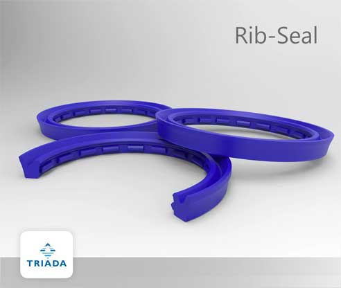 Rib_Seal_triada